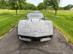 Thumbnail Photo 4 for 1981 Chevrolet Corvette Coupe for Sale by Owner
