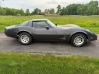 Thumbnail Photo 3 for 1981 Chevrolet Corvette Coupe for Sale by Owner