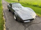 Thumbnail Photo 5 for 1981 Chevrolet Corvette Coupe for Sale by Owner