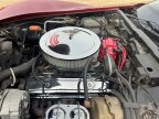 Thumbnail Photo 6 for 1981 Chevrolet Corvette for Sale by Owner