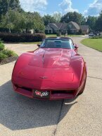 Thumbnail Photo 4 for 1981 Chevrolet Corvette for Sale by Owner