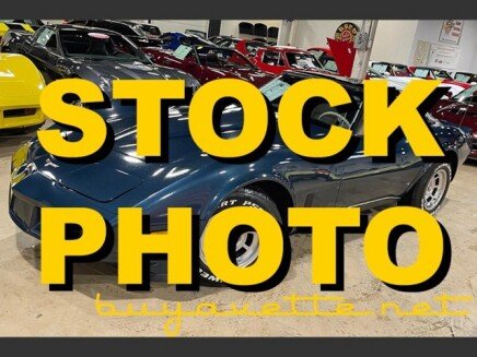 Photo 1 for 1981 Chevrolet Corvette