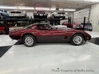 Thumbnail Photo 6 for 1981 Chevrolet Corvette