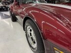 Thumbnail Photo 4 for 1981 Chevrolet Corvette