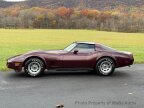 Thumbnail Photo 4 for 1981 Chevrolet Corvette