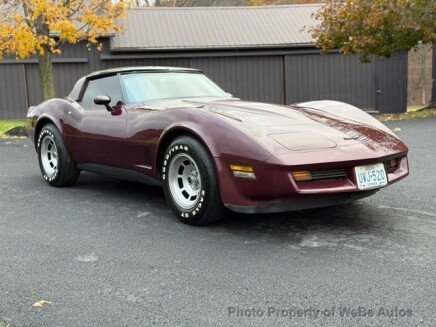 Photo 1 for 1981 Chevrolet Corvette