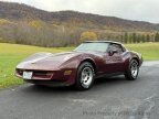 Thumbnail Photo 1 for 1981 Chevrolet Corvette