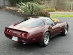 Thumbnail Photo 2 for 1981 Chevrolet Corvette