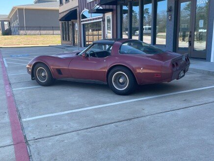 Photo 1 for 1981 Chevrolet Corvette Coupe for Sale by Owner