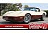 1981 Chevrolet Corvette Coupe