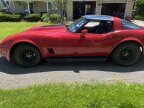 Thumbnail Photo 4 for 1981 Chevrolet Corvette for Sale by Owner