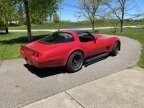 Thumbnail Photo 1 for 1981 Chevrolet Corvette for Sale by Owner
