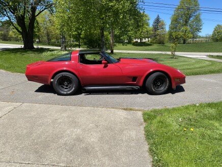 Photo 1 for 1981 Chevrolet Corvette for Sale by Owner