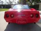 Thumbnail Photo 3 for 1981 Chevrolet Corvette