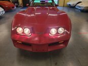 1981 Chevrolet Corvette