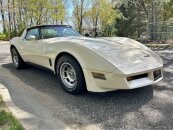 1981 Chevrolet Corvette