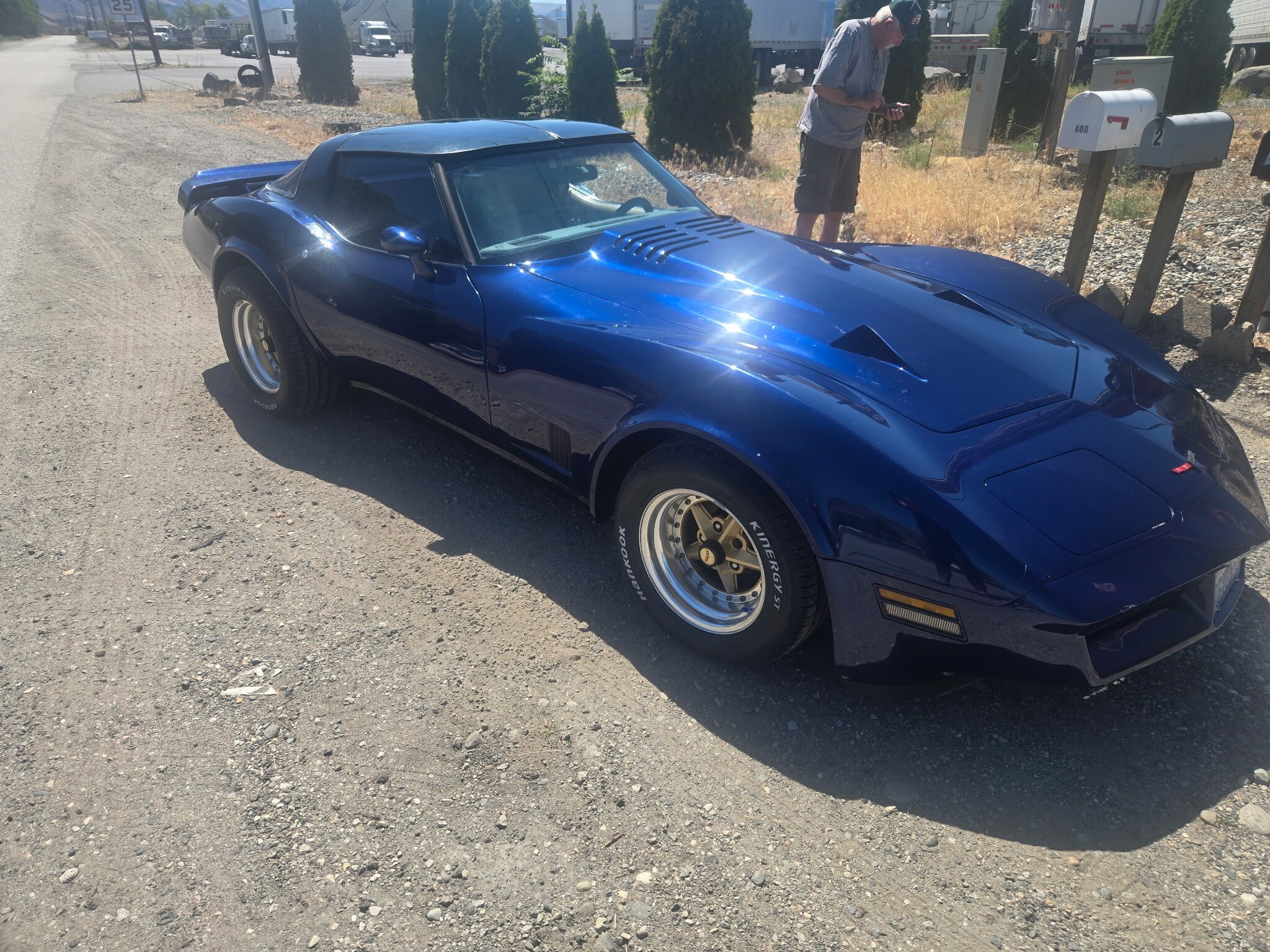 1981 Chevrolet Corvette American Classic Cars for Sale - Classics