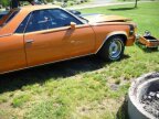Thumbnail Photo 1 for 1981 Chevrolet El Camino SS