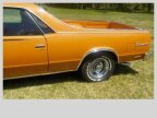 Thumbnail Photo 3 for 1981 Chevrolet El Camino SS