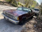 Thumbnail Photo 6 for 1981 Chevrolet El Camino
