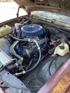 Thumbnail Photo 5 for 1981 Chevrolet El Camino