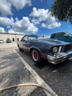 Thumbnail Photo 4 for 1981 Chevrolet El Camino