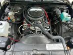 Thumbnail Photo 3 for 1981 Chevrolet El Camino