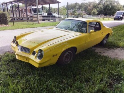Photo 1 for 1981 Chevrolet Other Chevrolet Models