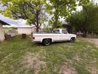 Thumbnail Photo 3 for 1981 Chevrolet Other Chevrolet Models