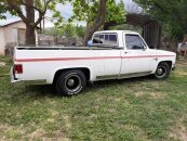 1981 Chevrolet Other Chevrolet Models