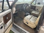 Thumbnail Photo 5 for 1981 Ford Bronco
