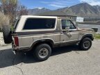 Thumbnail Photo 3 for 1981 Ford Bronco