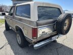 Thumbnail Photo 2 for 1981 Ford Bronco