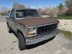 Thumbnail Photo 4 for 1981 Ford Bronco