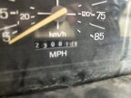 Thumbnail Photo 6 for 1981 Ford Bronco