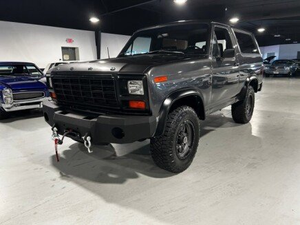 Photo 1 for 1981 Ford Bronco