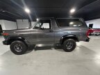 Thumbnail Photo 6 for 1981 Ford Bronco