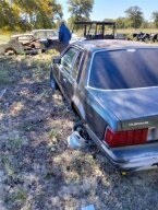 Thumbnail Photo 2 for 1981 Ford Mustang