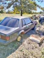 Thumbnail Photo 3 for 1981 Ford Mustang