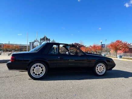 Photo 1 for 1981 Ford Mustang