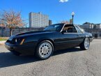 Thumbnail Photo 5 for 1981 Ford Mustang