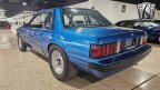 Thumbnail Photo 3 for 1981 Ford Mustang