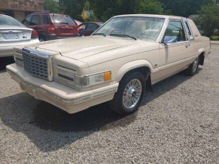 Photo 1 for 1981 Ford Thunderbird