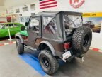 Thumbnail Photo 3 for 1981 Jeep CJ