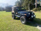 Thumbnail Photo 2 for 1981 Jeep CJ 5 for Sale by Owner
