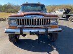 Thumbnail Photo 2 for 1981 Jeep Pickup