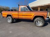 1981 Jeep Pickup
