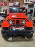 Thumbnail Photo 2 for 1981 Jeep Scrambler