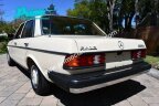 Thumbnail Photo 4 for 1981 Mercedes-Benz 240D