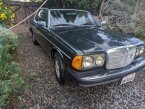 Thumbnail Photo 4 for 1981 Mercedes-Benz 300CD